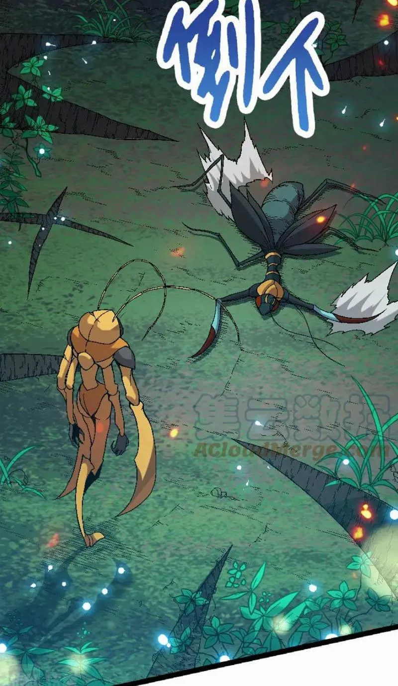 Từ Cây Cổ Thụ Bắt Đầu Tiến Hóa Chapter 42 - Trang 18