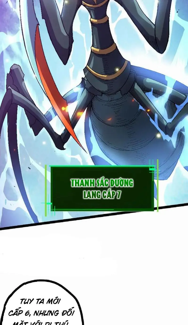 Từ Cây Cổ Thụ Bắt Đầu Tiến Hóa Chapter 42 - Trang 7