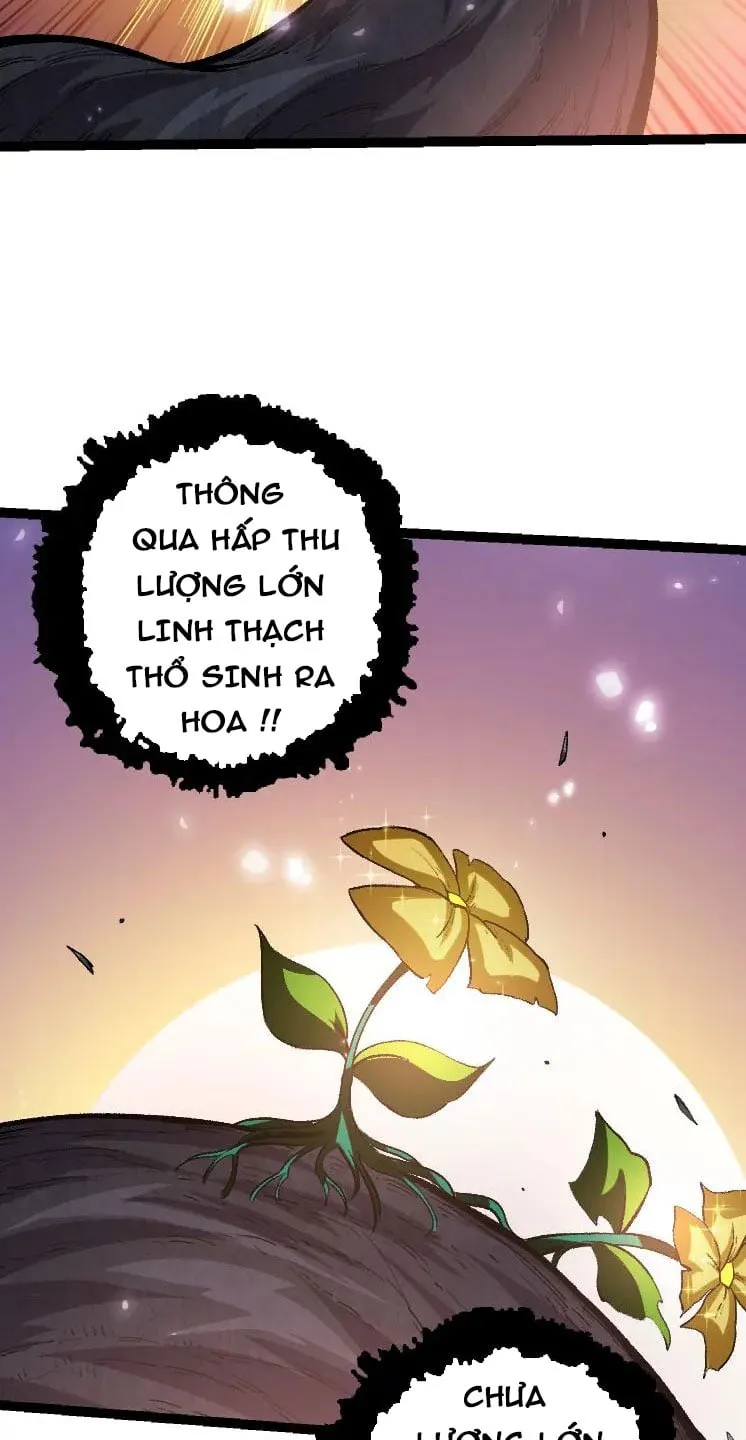 Từ Cây Cổ Thụ Bắt Đầu Tiến Hóa Chapter 43 - Trang 38
