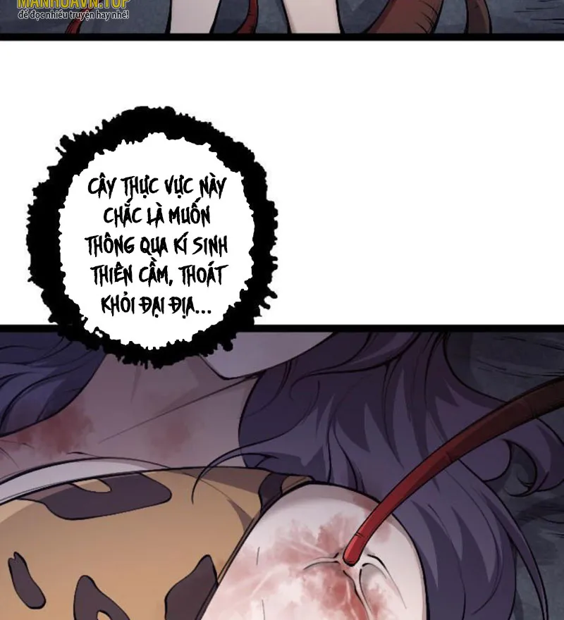 Từ Cây Cổ Thụ Bắt Đầu Tiến Hóa Chapter 46 - Trang 4