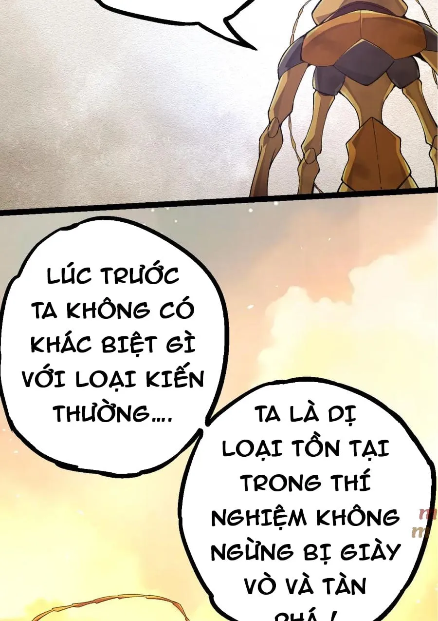 Từ Cây Cổ Thụ Bắt Đầu Tiến Hóa Chapter 48 - Trang 19