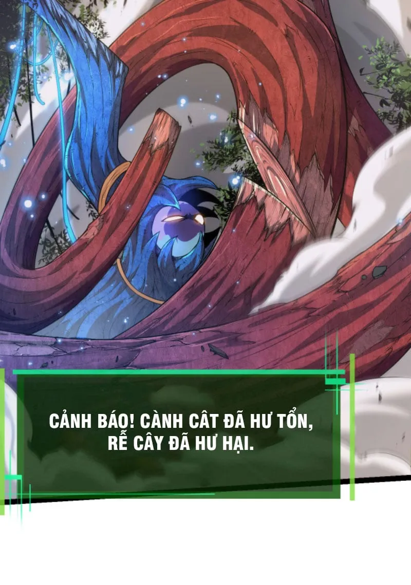 Từ Cây Cổ Thụ Bắt Đầu Tiến Hóa Chapter 5 - Trang 15