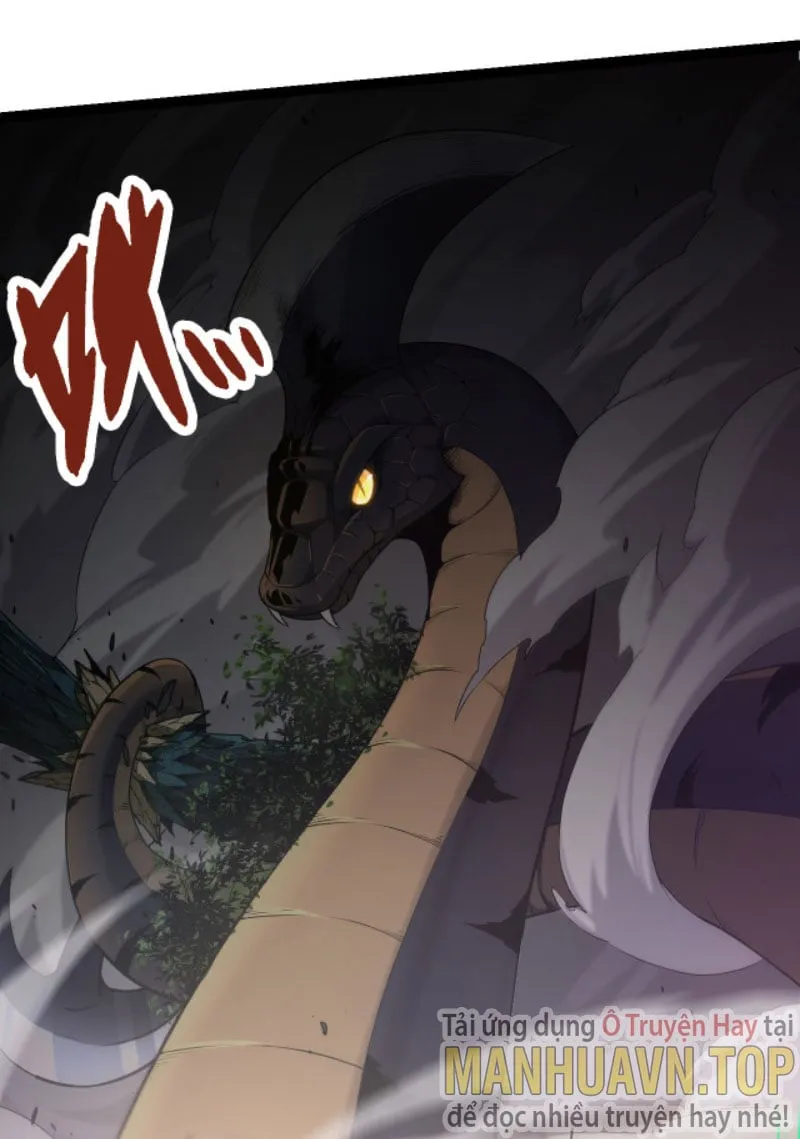 Từ Cây Cổ Thụ Bắt Đầu Tiến Hóa Chapter 5 - Trang 16