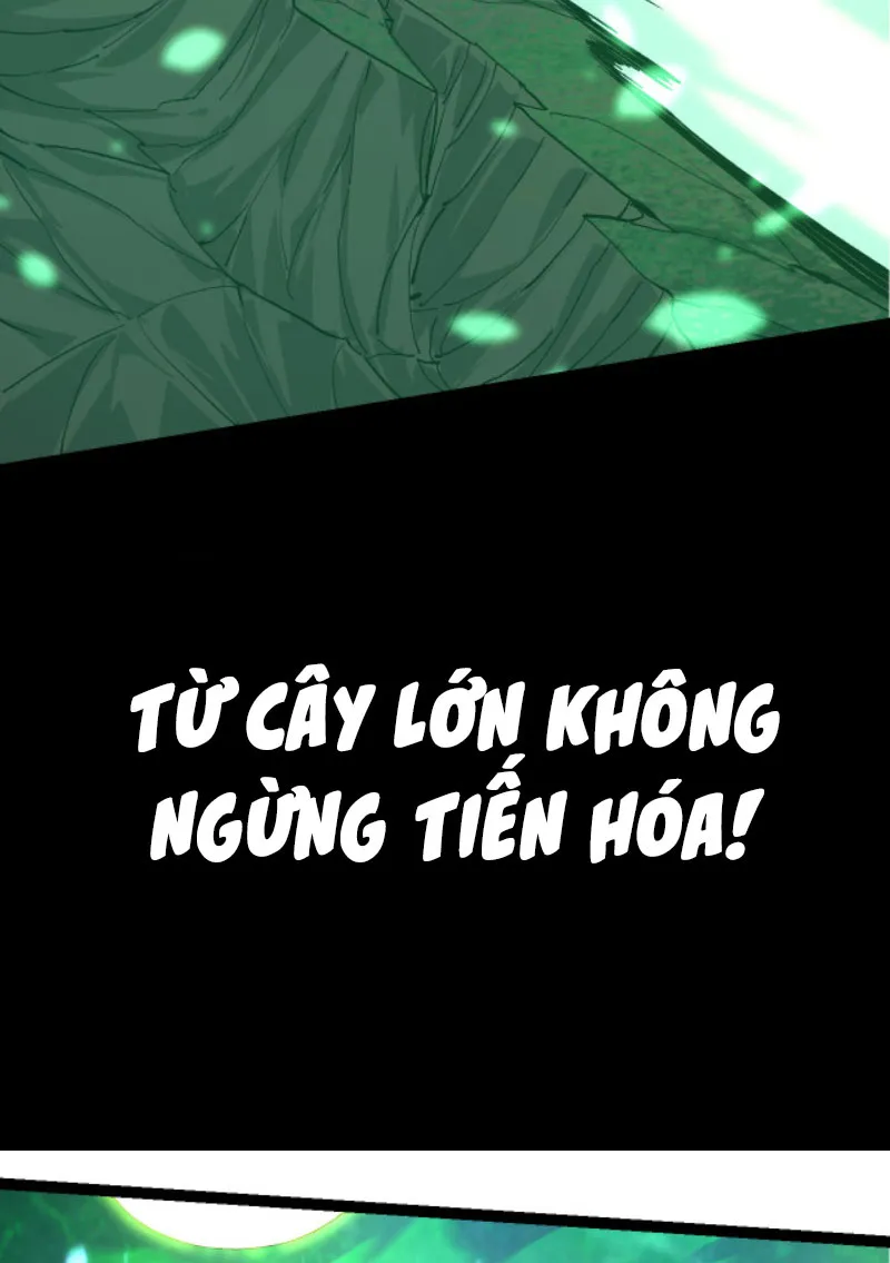 Từ Cây Cổ Thụ Bắt Đầu Tiến Hóa Chapter 6 - Trang 12