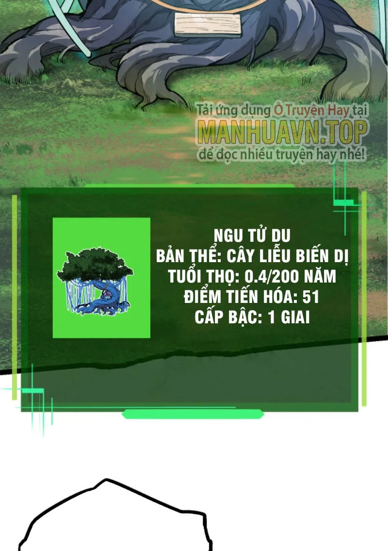 Từ Cây Cổ Thụ Bắt Đầu Tiến Hóa Chapter 6 - Trang 21