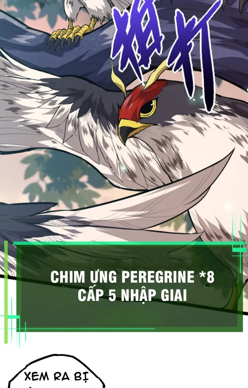Từ Cây Cổ Thụ Bắt Đầu Tiến Hóa Chapter 6 - Trang 28