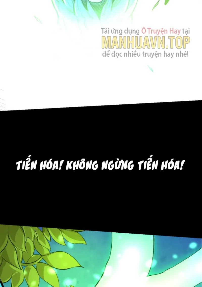 Từ Cây Cổ Thụ Bắt Đầu Tiến Hóa Chapter 6 - Trang 7
