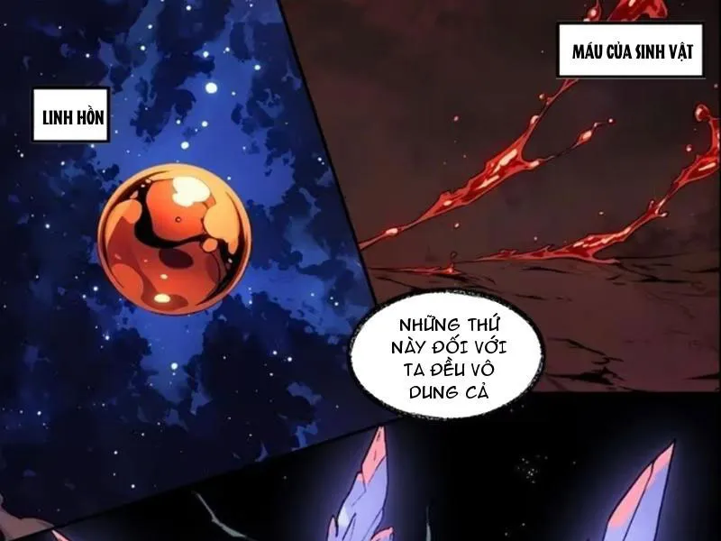 Từ Một Hồ Nước Bắt Đầu Tiến Hóa Chapter 4 - Trang 2