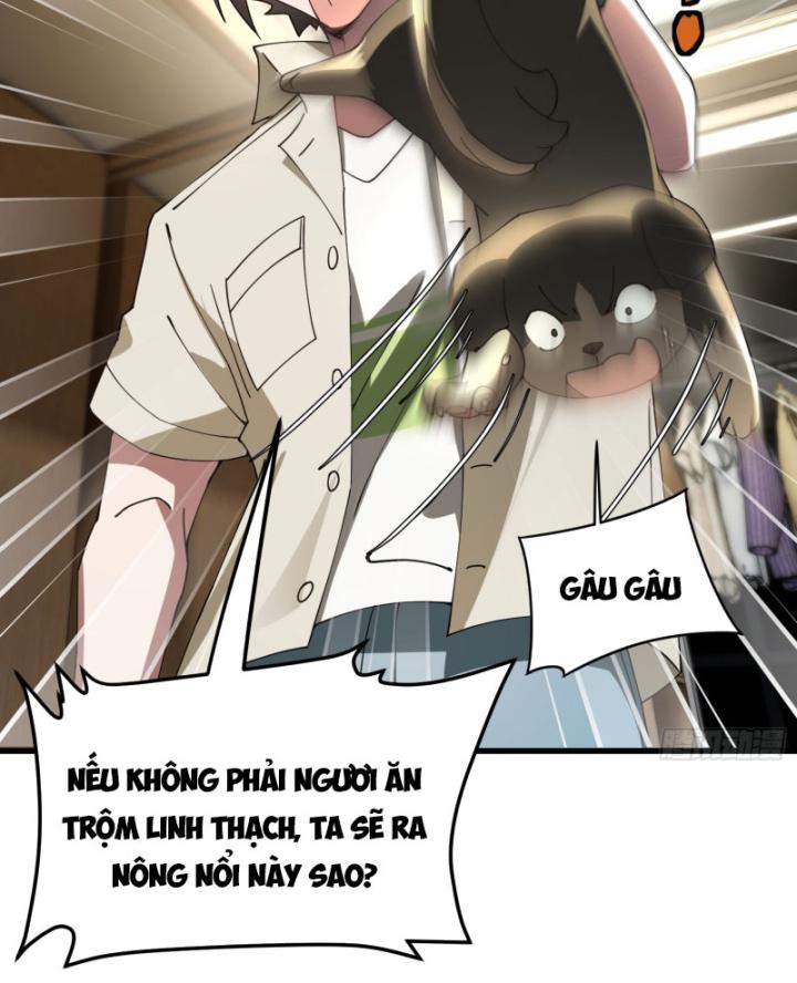 Tu Tiên, Bắt đầu Từ Phản Bội Người Thân Chapter 24 - Trang 17