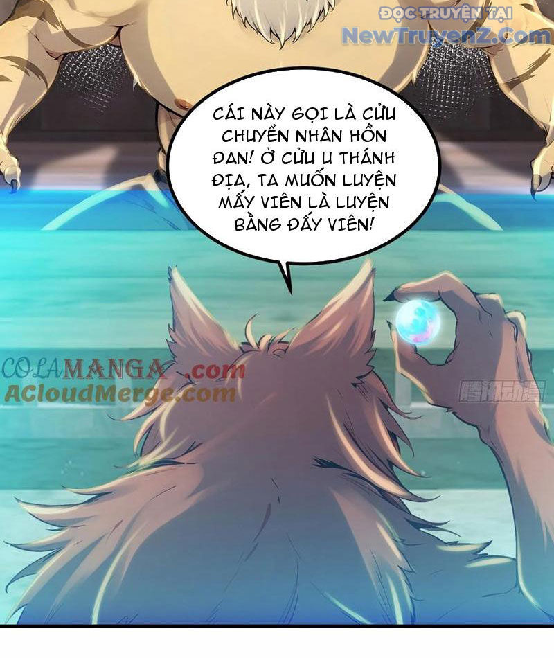 Tu Tiên Hàng Triệu Năm: đệ Tử Của Ta Rải Rác Khắp Tiên Giới! Chapter 49 - Trang 36