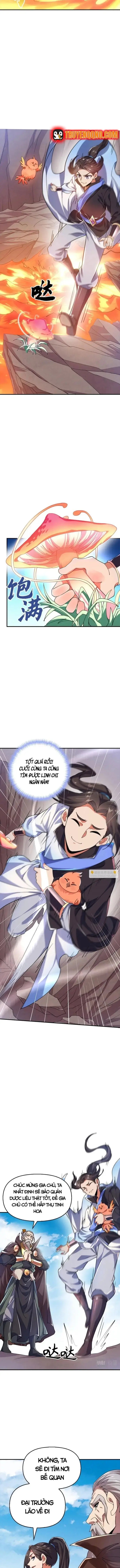 Tu Tiên Hoàn Sinh Ký: Từ Thiếu Tộc Trưởng Chế Bá Dị Giơi Chapter 15 - Trang 11