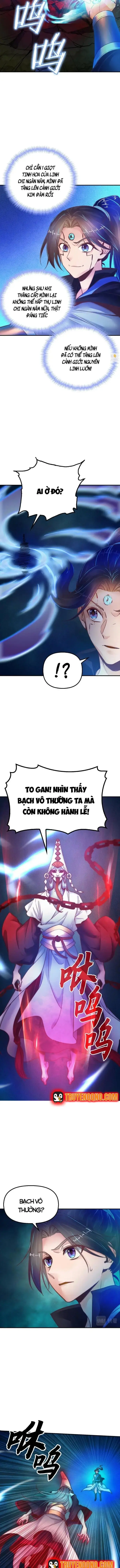 Tu Tiên Hoàn Sinh Ký: Từ Thiếu Tộc Trưởng Chế Bá Dị Giơi Chapter 16 - Trang 7
