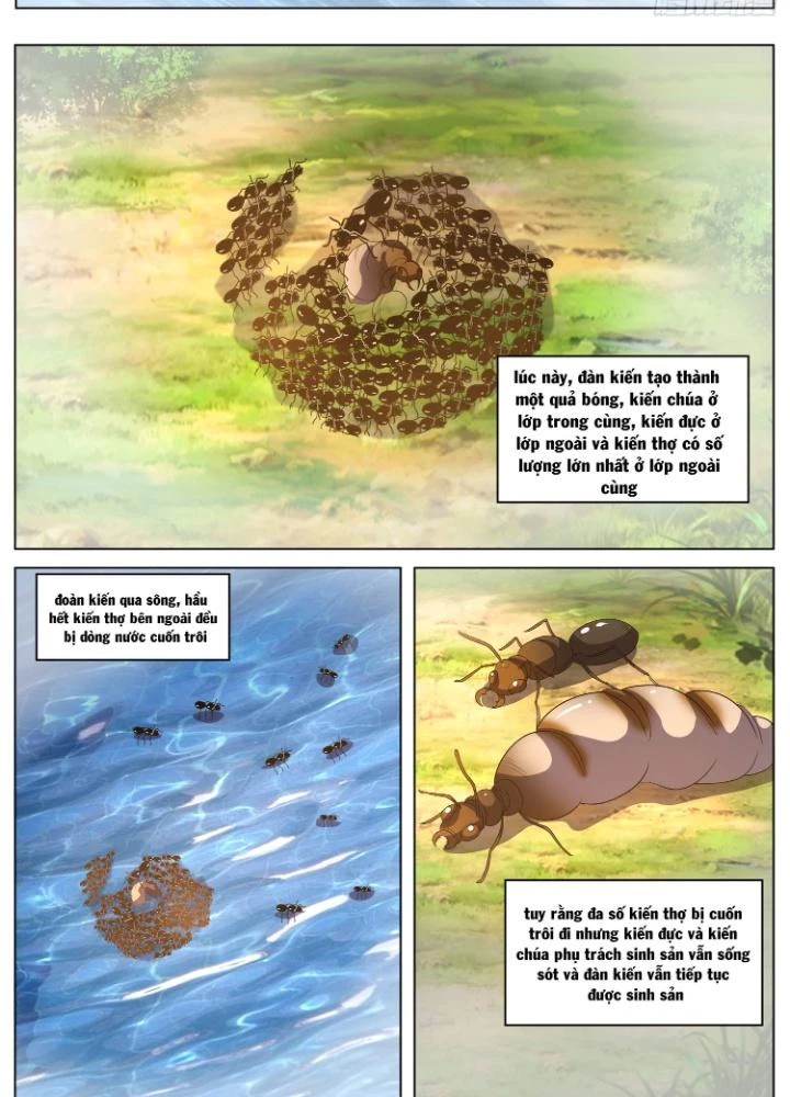 Tương Vong Sư Chapter 65 - Trang 20
