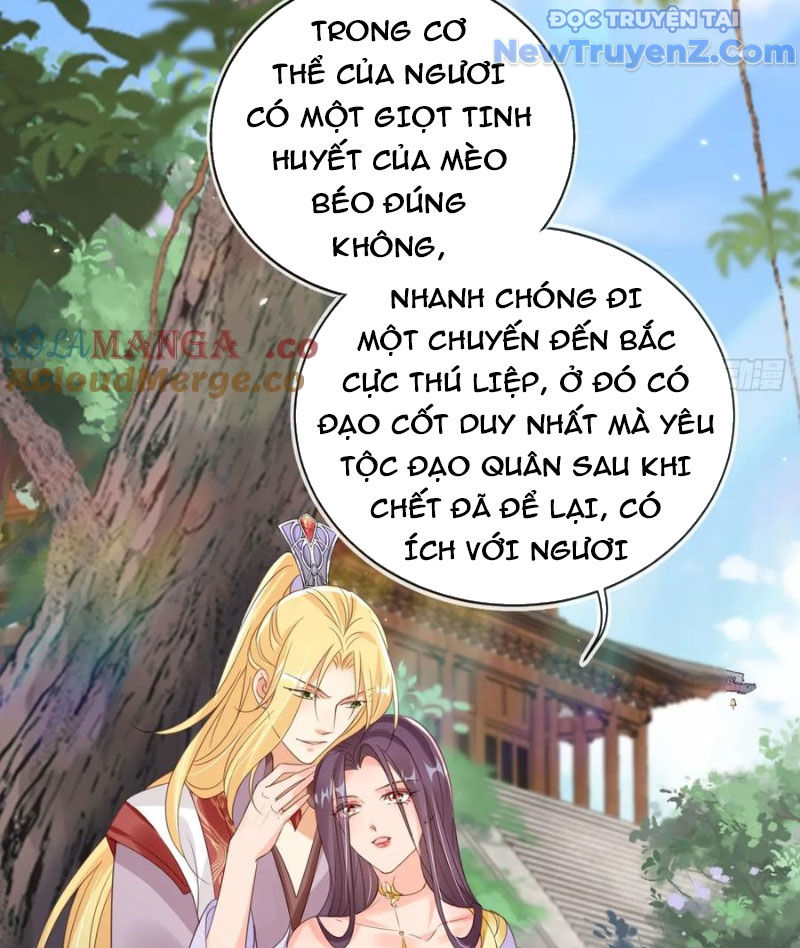 Tùy Tùng Của Nữ Phản Diện Chapter 166 - Trang 46