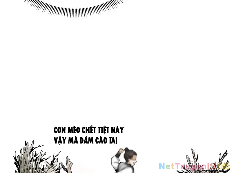 Tuyệt Đối Đừng Gây Sự Với Đại Sư Huynh Chapter 1 - Trang 28