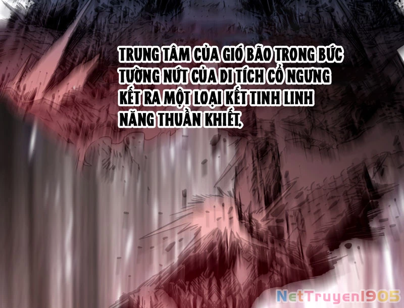 Tuyệt Đối Đừng Gây Sự Với Đại Sư Huynh Chapter 2 - Trang 22