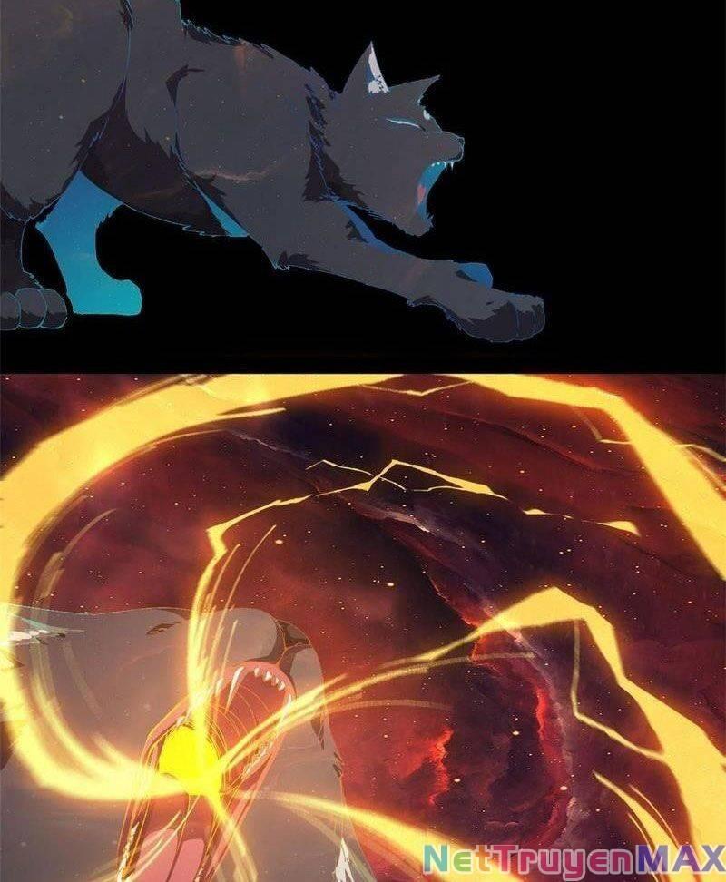 Tuyệt đối Wonder Woman Chapter 137 - Trang 5