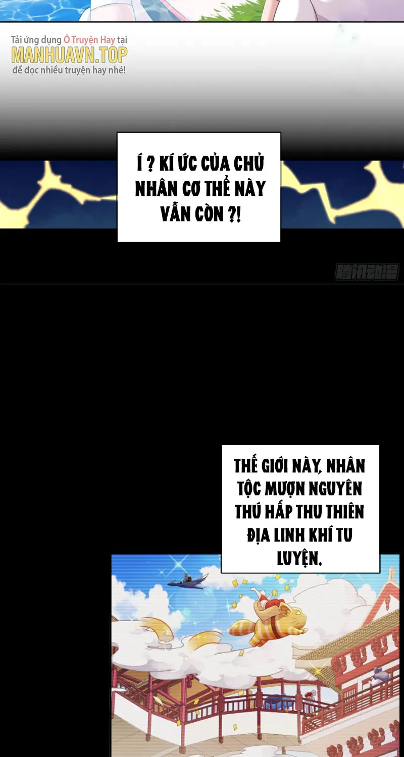 Tuyệt Sắc Đạo Lữ Đều Nói Ngô Hoàng Có Thể Chất Vô Địch Chapter 1 - Trang 30