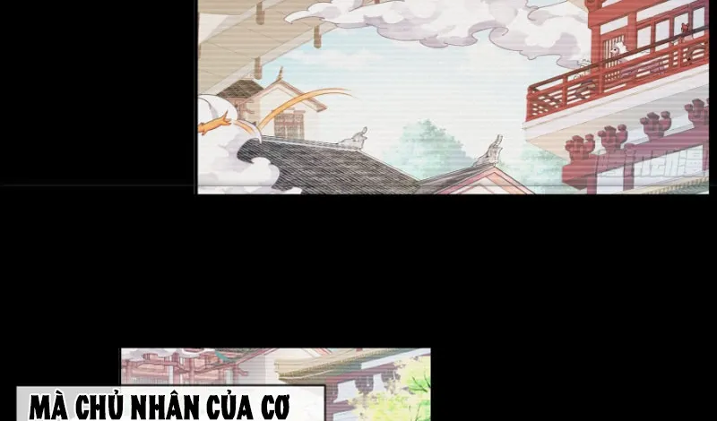 Tuyệt Sắc Đạo Lữ Đều Nói Ngô Hoàng Có Thể Chất Vô Địch Chapter 1 - Trang 31
