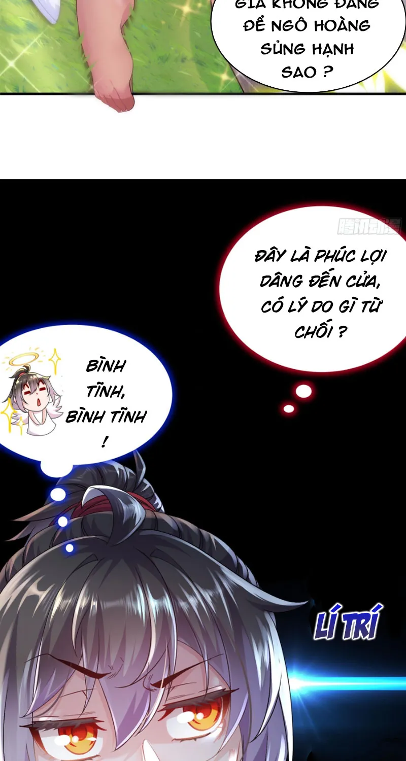 Tuyệt Sắc Đạo Lữ Đều Nói Ngô Hoàng Có Thể Chất Vô Địch Chapter 2 - Trang 10