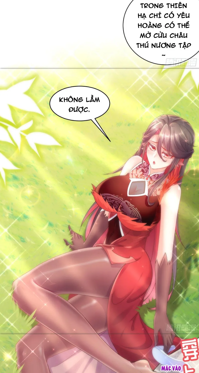 Tuyệt Sắc Đạo Lữ Đều Nói Ngô Hoàng Có Thể Chất Vô Địch Chapter 2 - Trang 8