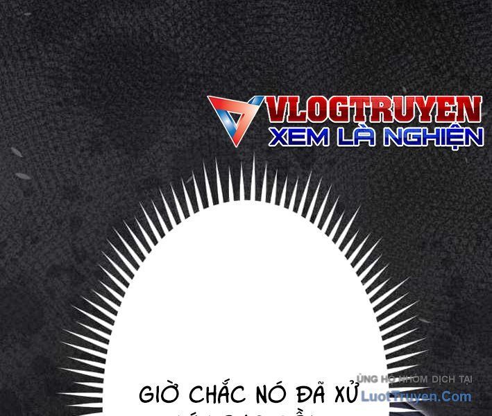 Tuyệt Thế Sát Thủ Hồi Quy Tại Học Viện Chapter 11 - Trang 24