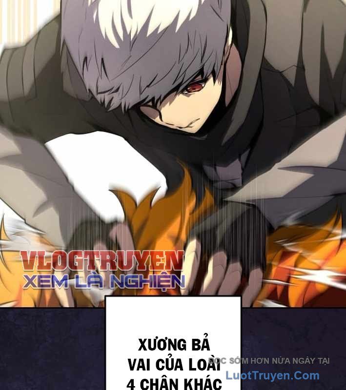 Tuyệt Thế Sát Thủ Hồi Quy Tại Học Viện Chapter 12 - Trang 31