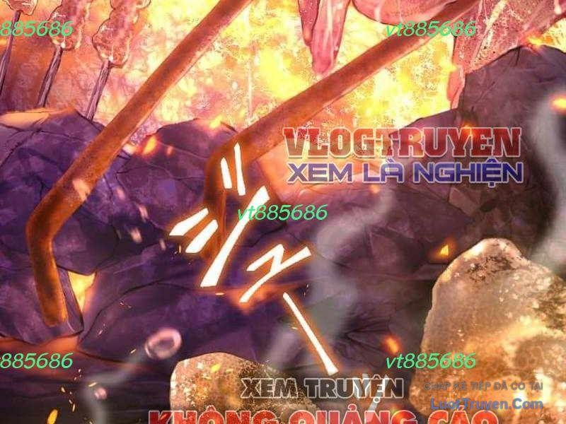 Tuyệt Thế Sát Thủ Hồi Quy Tại Học Viện Chapter 31 - Trang 6