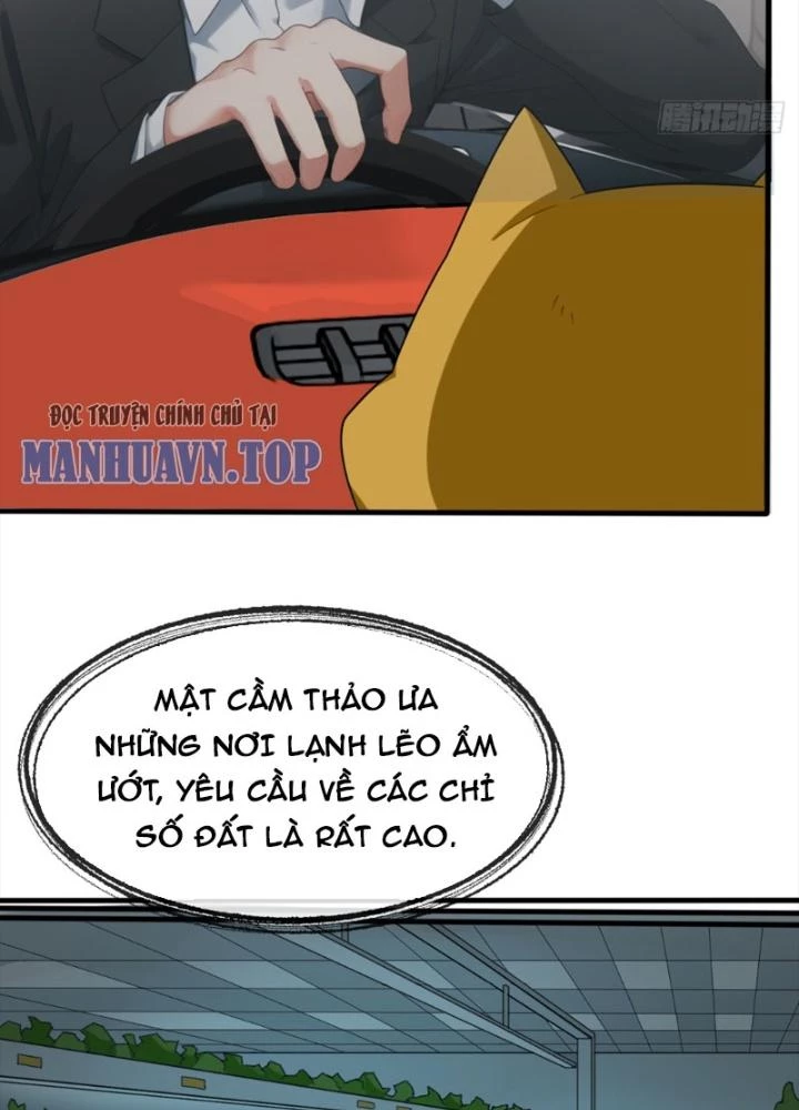 Tuyệt Thế Thiên Tài Hệ Thống Chapter 72 - Trang 48