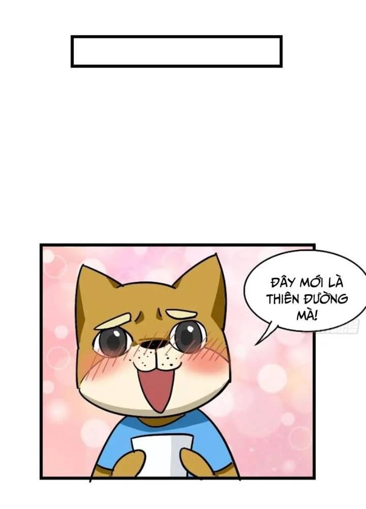 Tuyệt Thế Thiên Tài Hệ Thống Chapter 91 - Trang 14