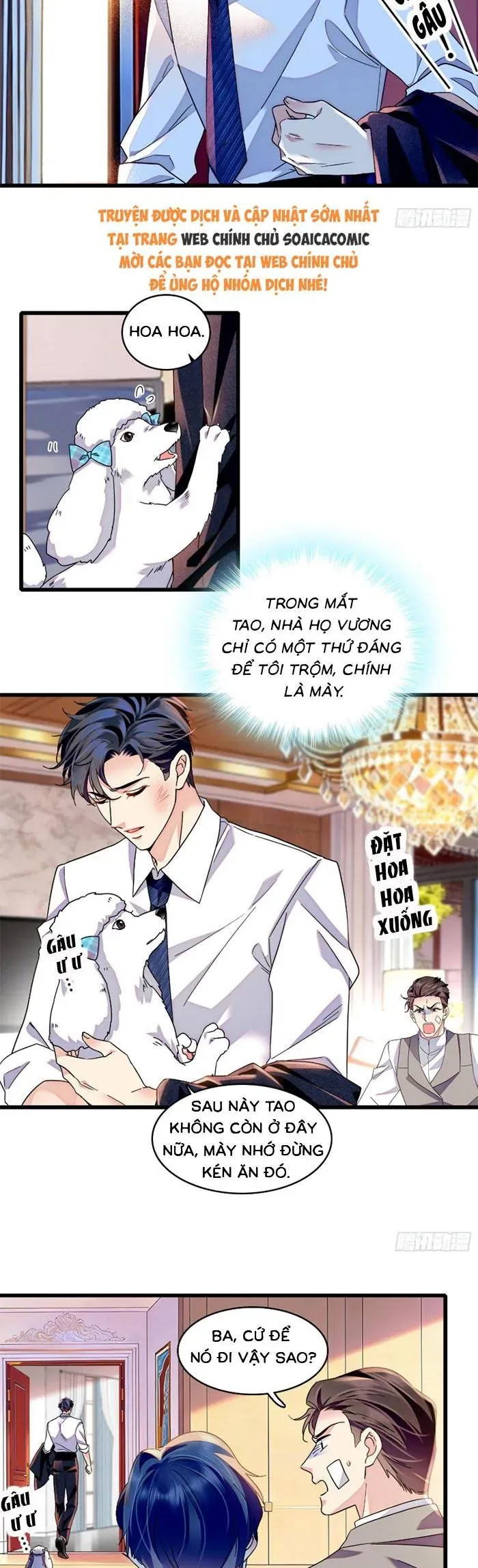 Tỷ Phú Ở Rể Chapter 19 - Trang 14