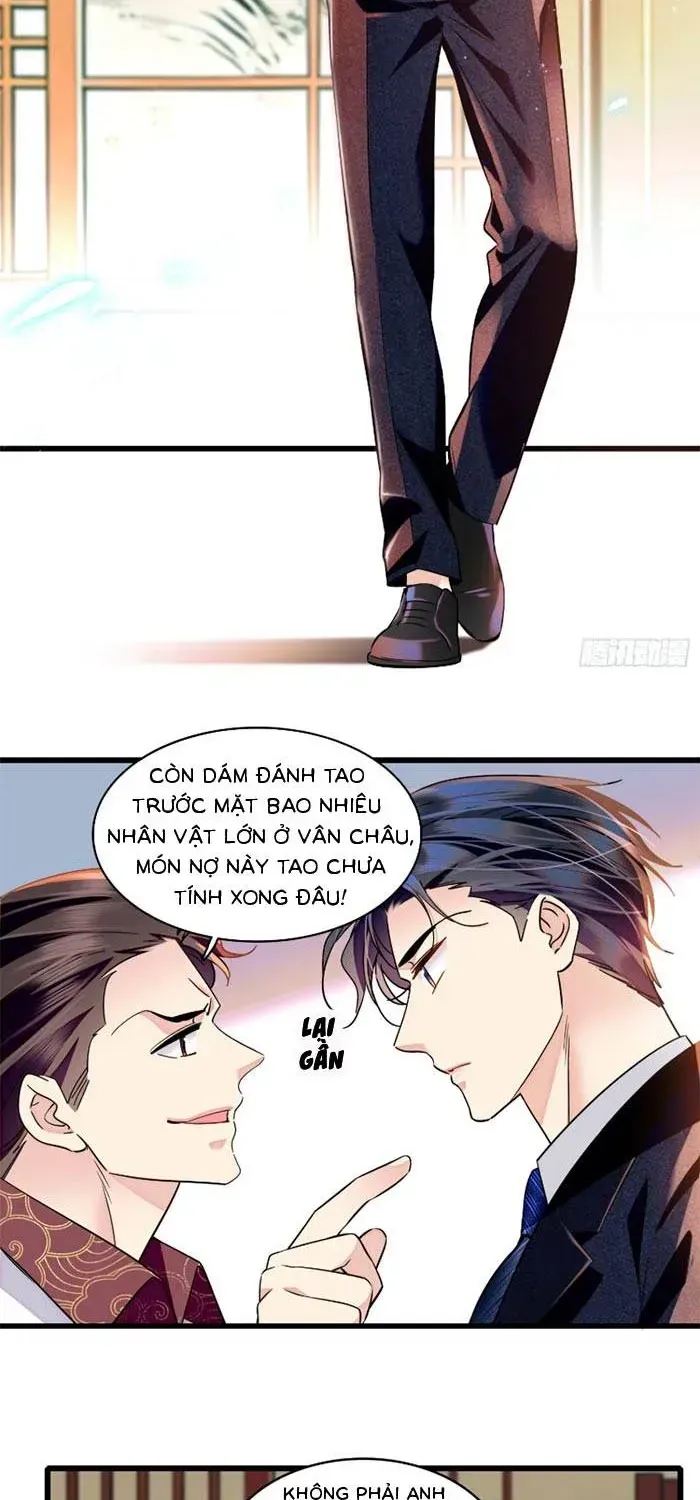 Tỷ Phú Ở Rể Chapter 23 - Trang 11