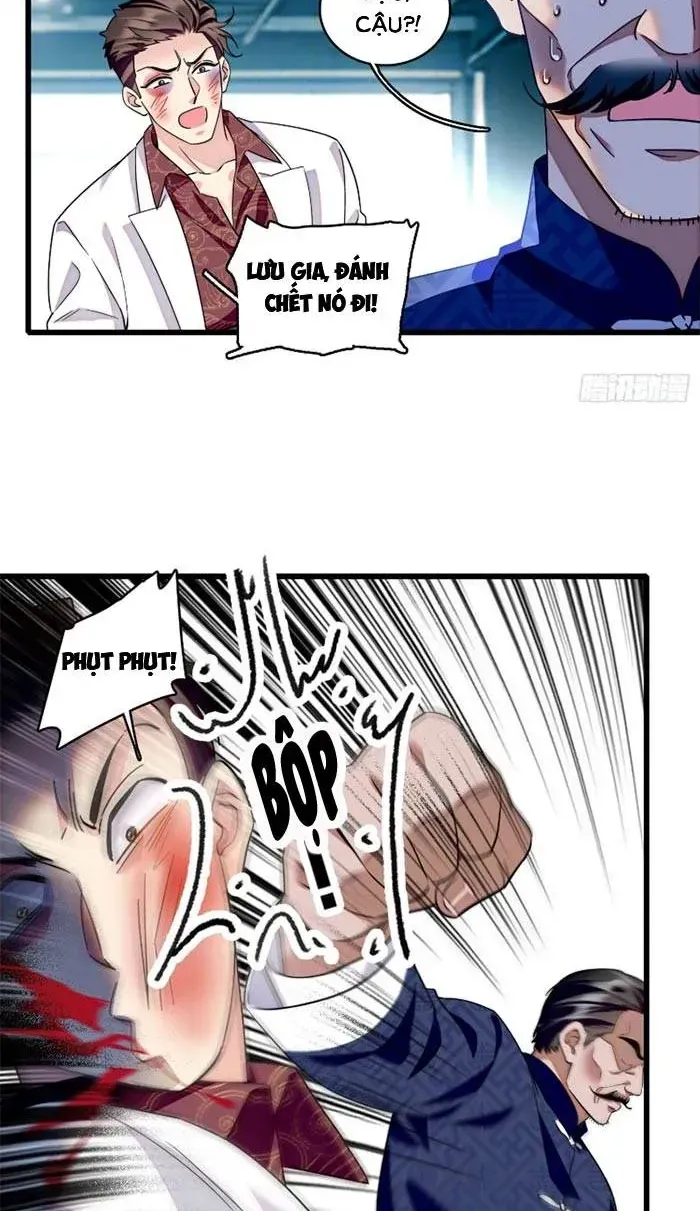 Tỷ Phú Ở Rể Chapter 23 - Trang 28