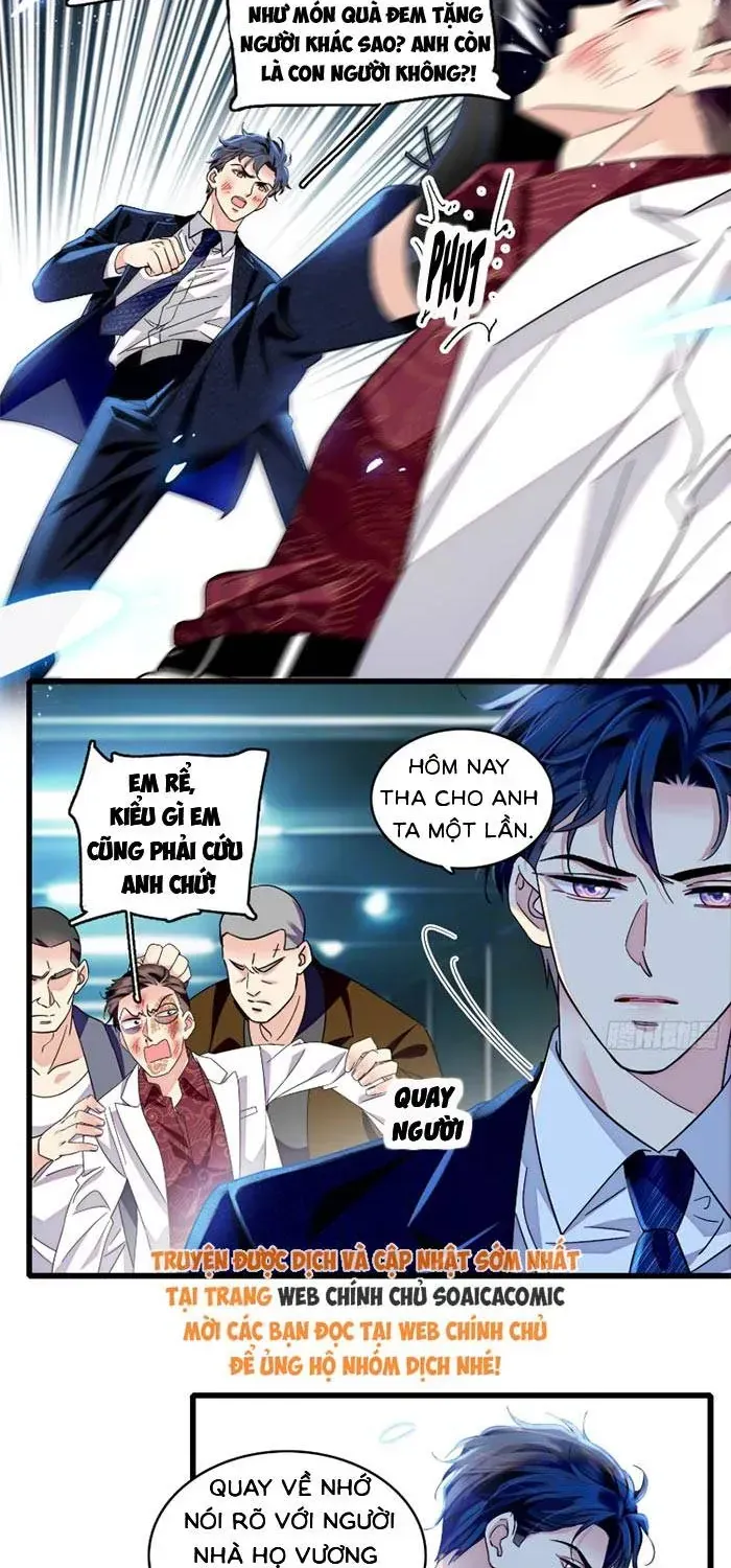 Tỷ Phú Ở Rể Chapter 24 - Trang 11