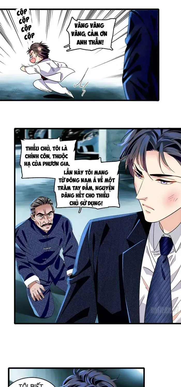 Tỷ Phú Ở Rể Chapter 24 - Trang 13