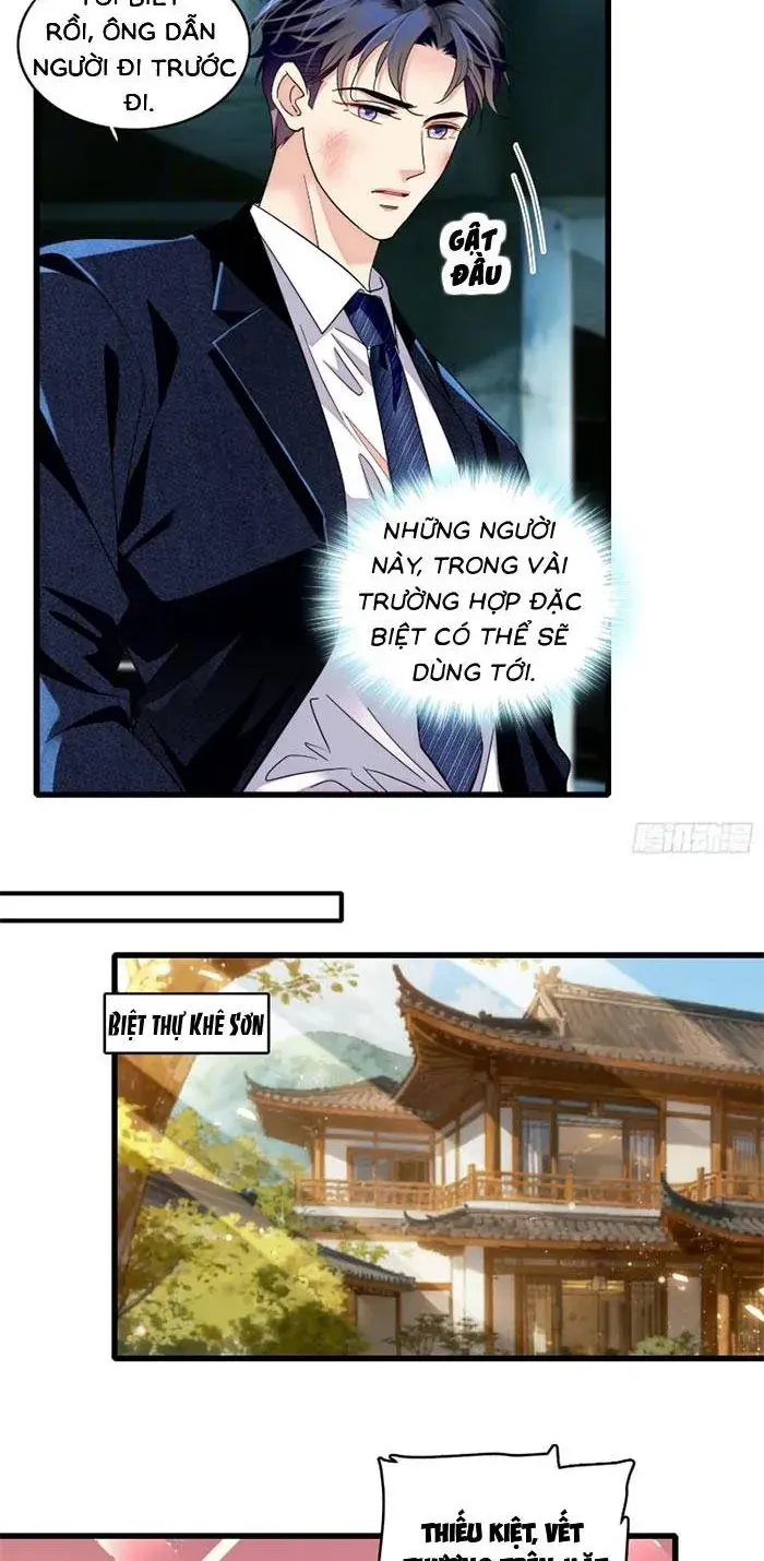 Tỷ Phú Ở Rể Chapter 24 - Trang 14