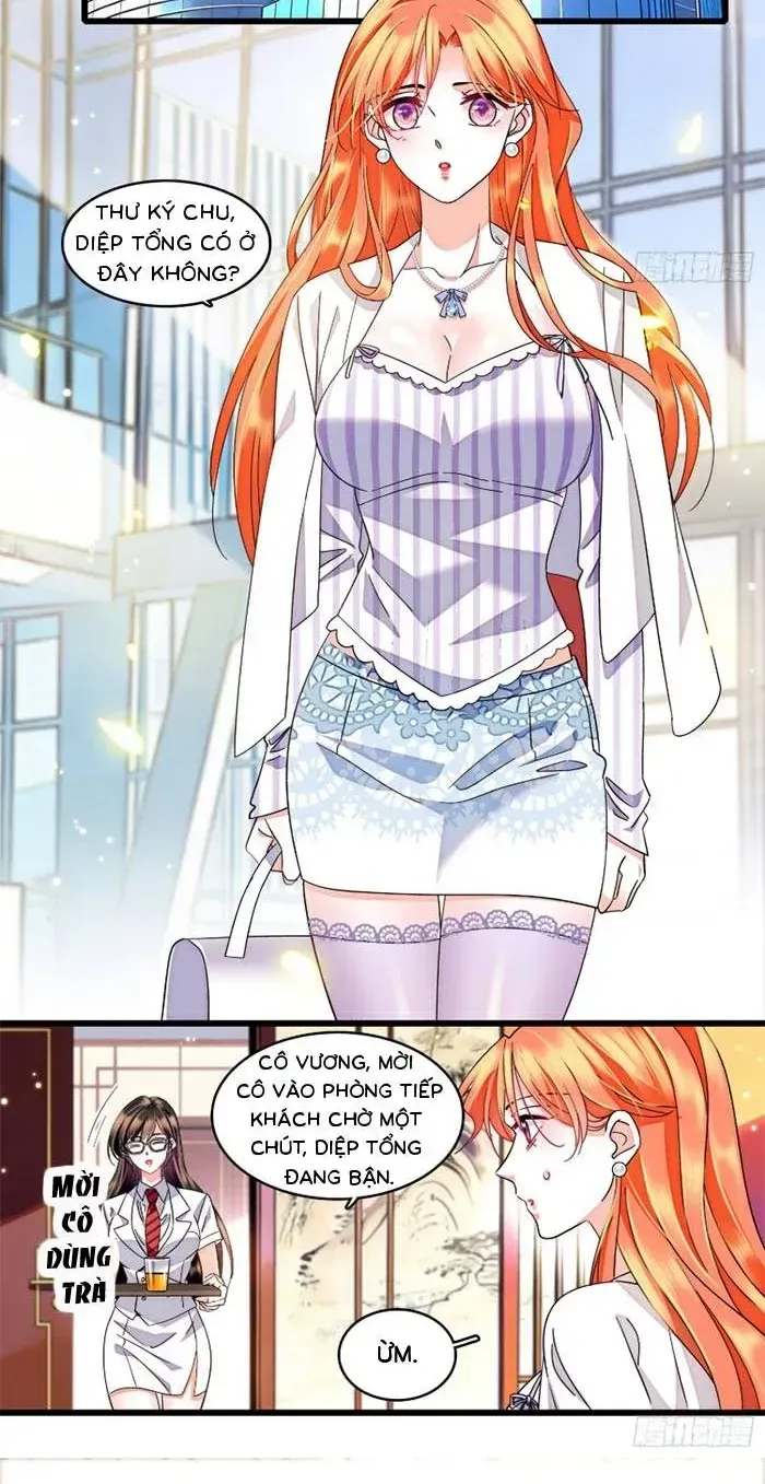 Tỷ Phú Ở Rể Chapter 24 - Trang 20