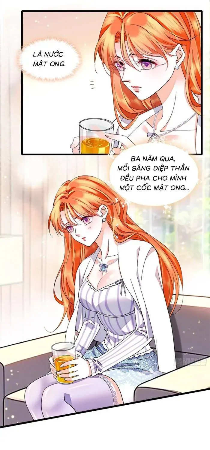 Tỷ Phú Ở Rể Chapter 24 - Trang 21