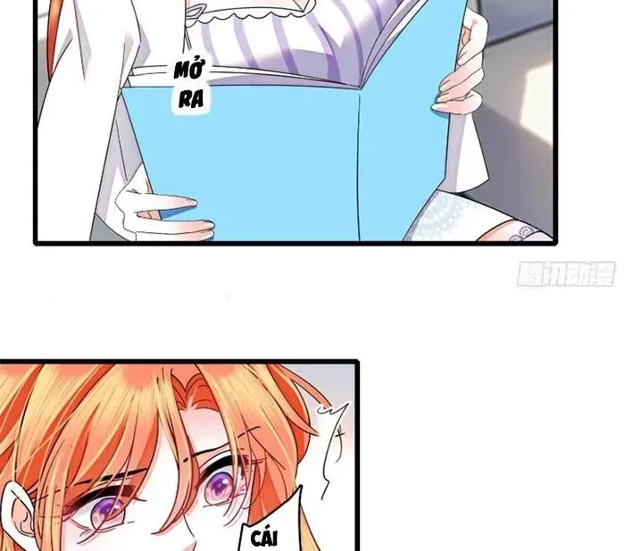 Tỷ Phú Ở Rể Chapter 24 - Trang 28