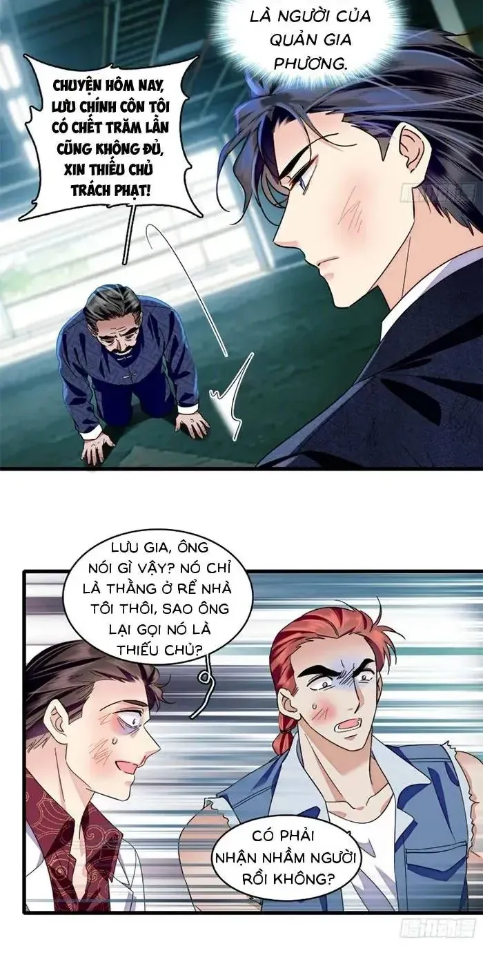 Tỷ Phú Ở Rể Chapter 24 - Trang 4