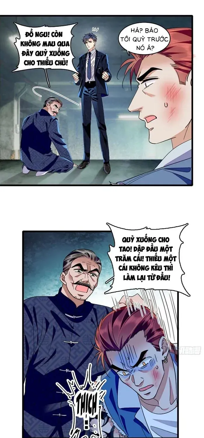Tỷ Phú Ở Rể Chapter 24 - Trang 5