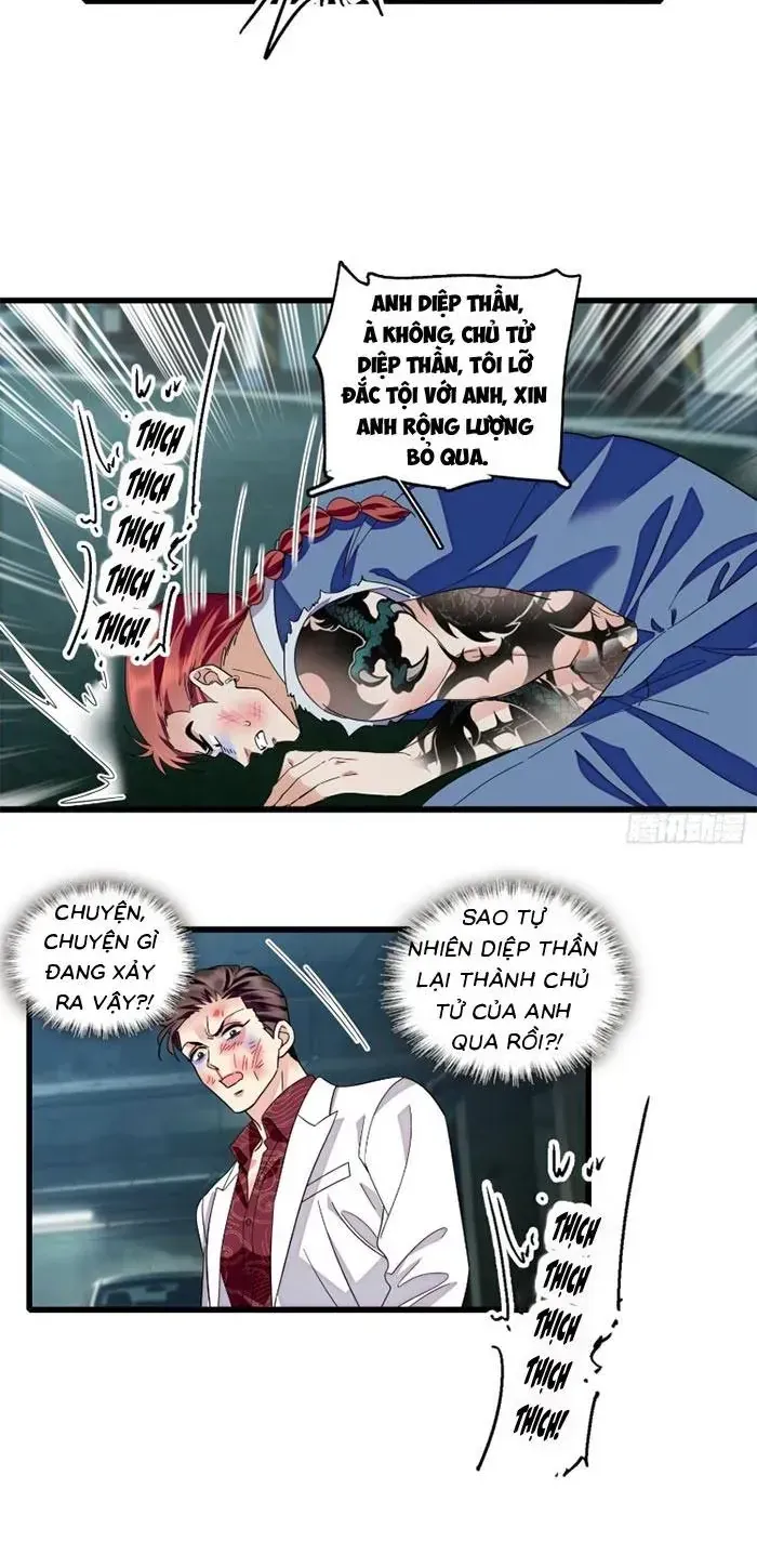 Tỷ Phú Ở Rể Chapter 24 - Trang 6