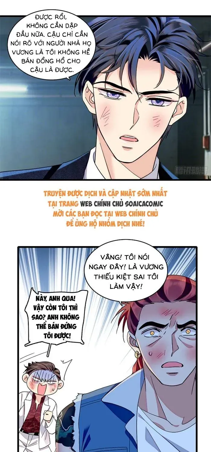 Tỷ Phú Ở Rể Chapter 24 - Trang 7