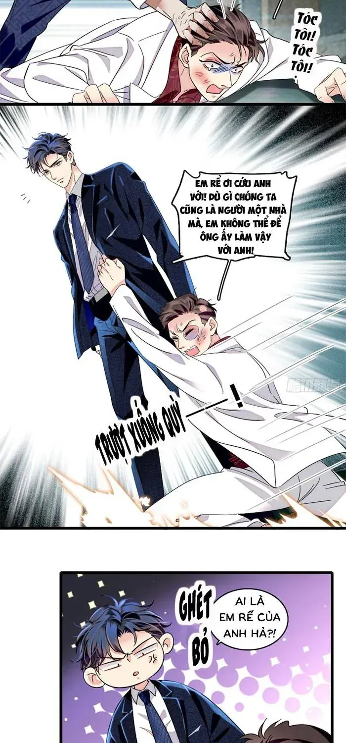 Tỷ Phú Ở Rể Chapter 24 - Trang 9
