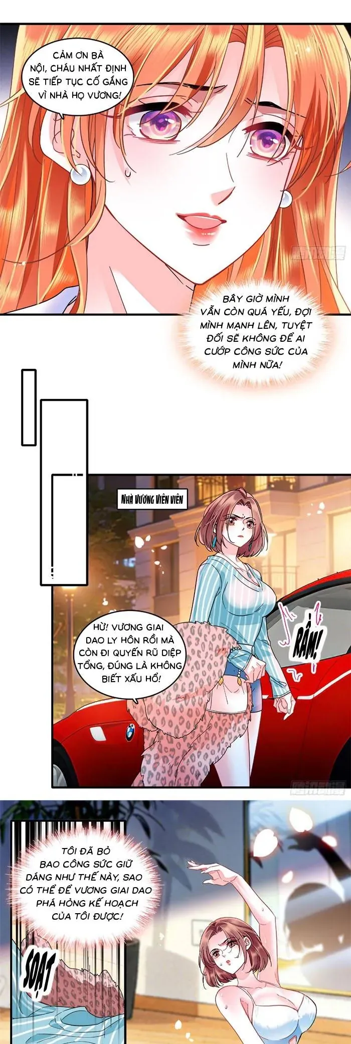 Tỷ Phú Ở Rể Chapter 26 - Trang 11