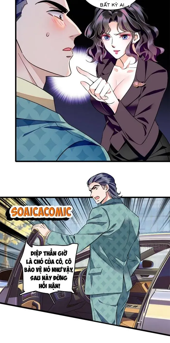 Tỷ Phú Ở Rể Chapter 27 - Trang 14