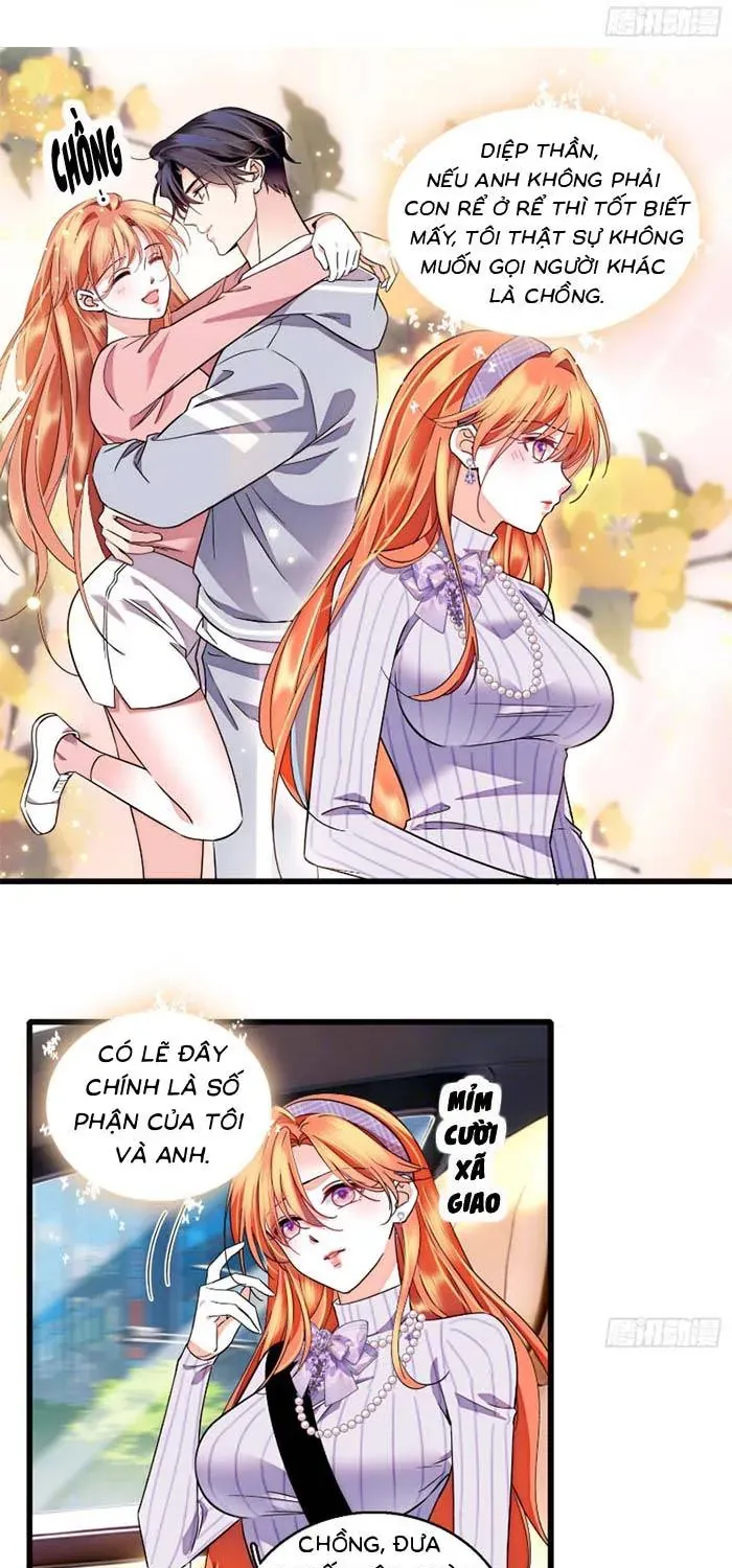 Tỷ Phú Ở Rể Chapter 31 - Trang 13