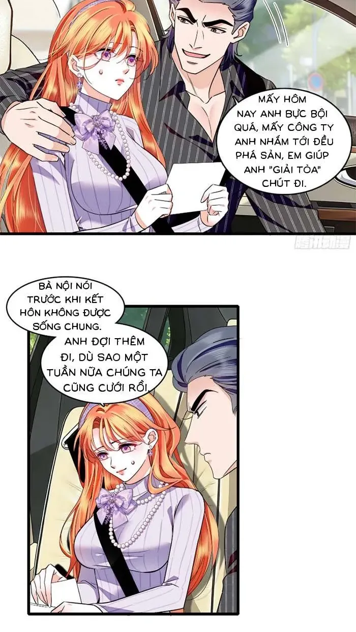 Tỷ Phú Ở Rể Chapter 31 - Trang 16