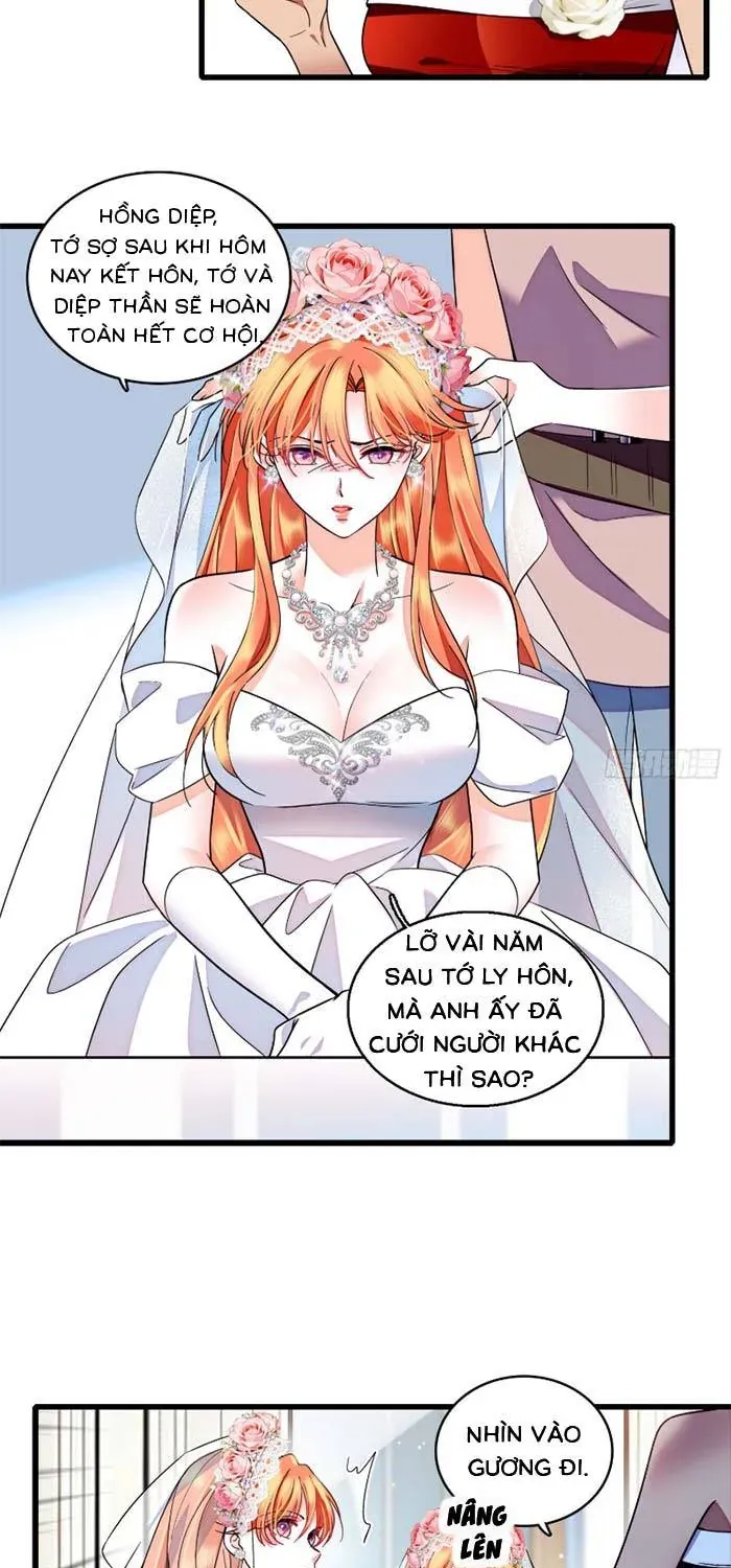 Tỷ Phú Ở Rể Chapter 32 - Trang 15