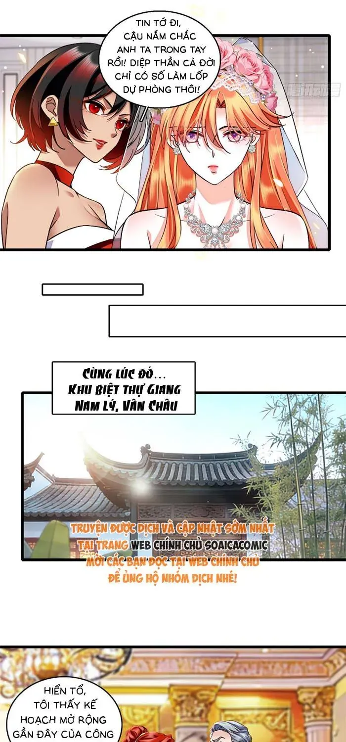 Tỷ Phú Ở Rể Chapter 32 - Trang 17